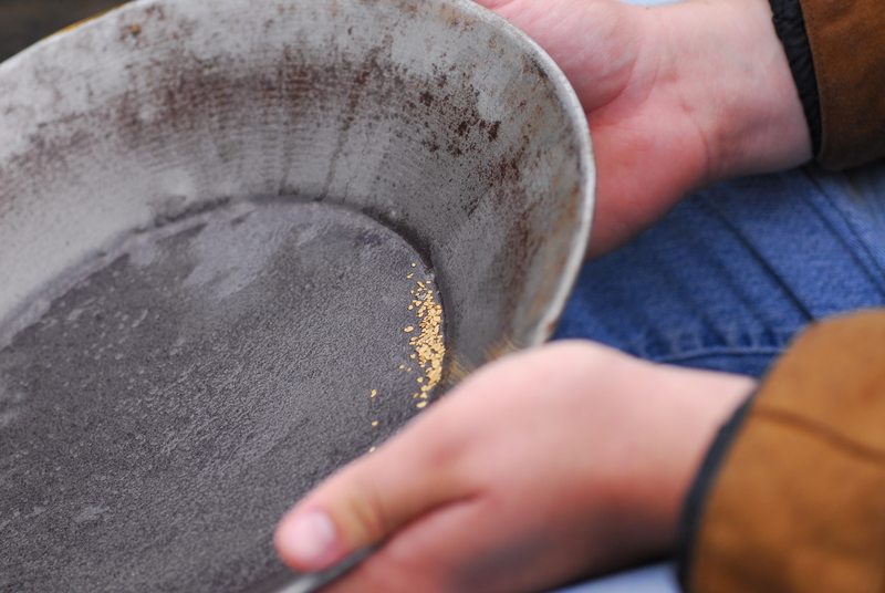 An image of a person panning for gold